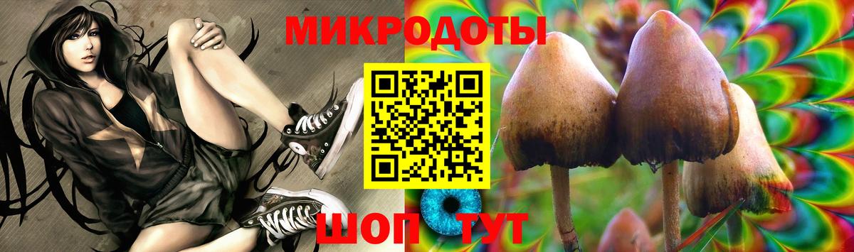 где найти наркотики  Псилоцибиновые грибы Magic Shrooms  Вход с VPN  Славянск-на-Кубани 