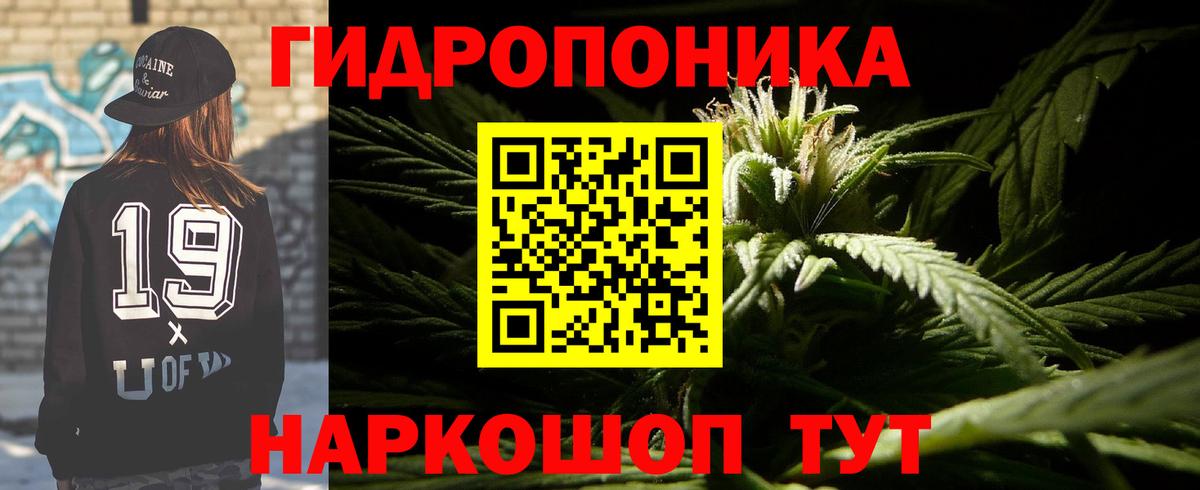 Славянск-на-Кубани  Марихуана Ganja  Вход с VPN  Канабис гибрид  Конопля OG Kush  Бошки марихуана сатива 
